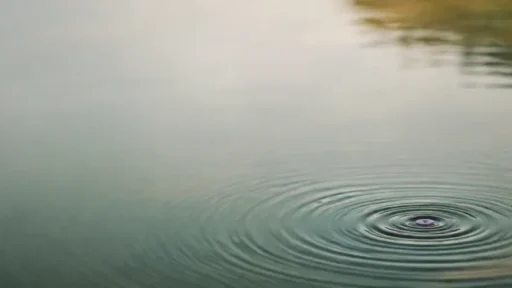 круги на спокойной воде от одной капли